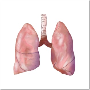 Healthy Lungs Posters and Art